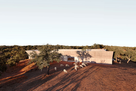 Valerio's Ark - Harvard Design Magazine Valerio's Ark - Harvard Design Magazine