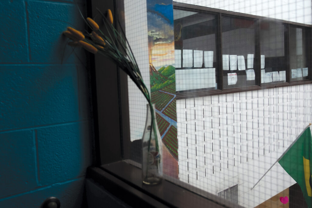 A glass soda bottle with yellow tulips sits on the sill of a window that over looks a portion of a mural and windows from another part of the building with the flag of Brazil hanging from the wall below