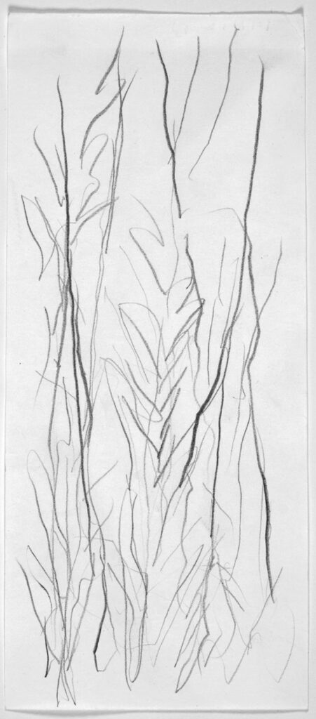 A line sketch of what appear to be trees