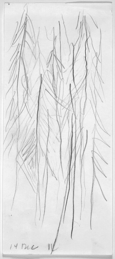 line sketch of what appear to be trees