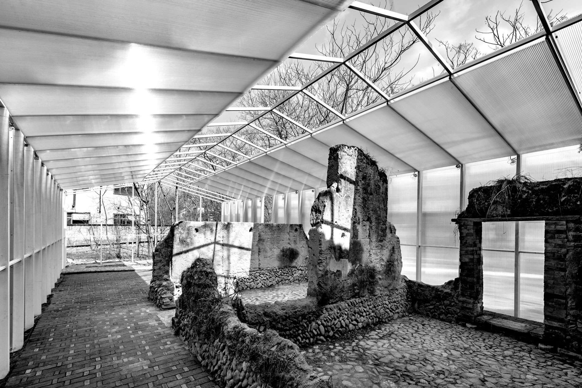 Black and white, daytime image of the interior of a greenhouse with plants growing from a scaffold