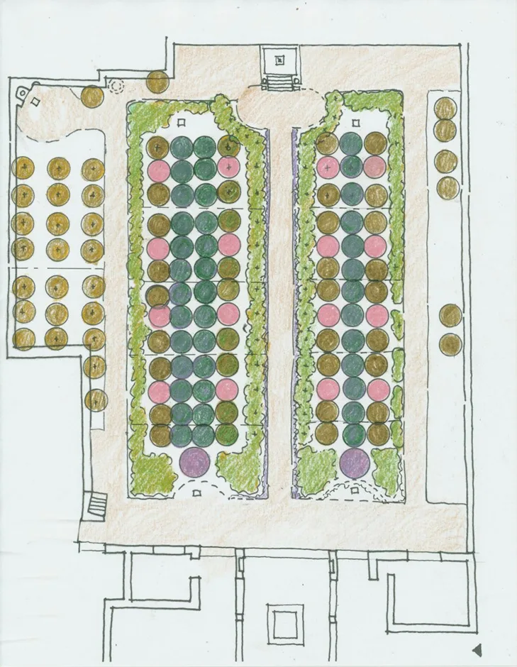 Reconstruction sketch of the garden beds showing structure and planting placement.