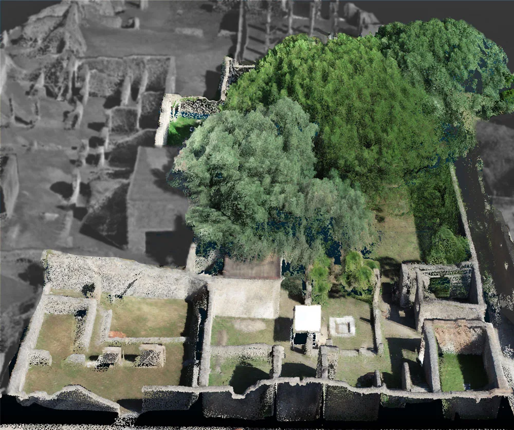 Excavation of Pompeii ruin showing preexisting trees, walls, and landscaping.