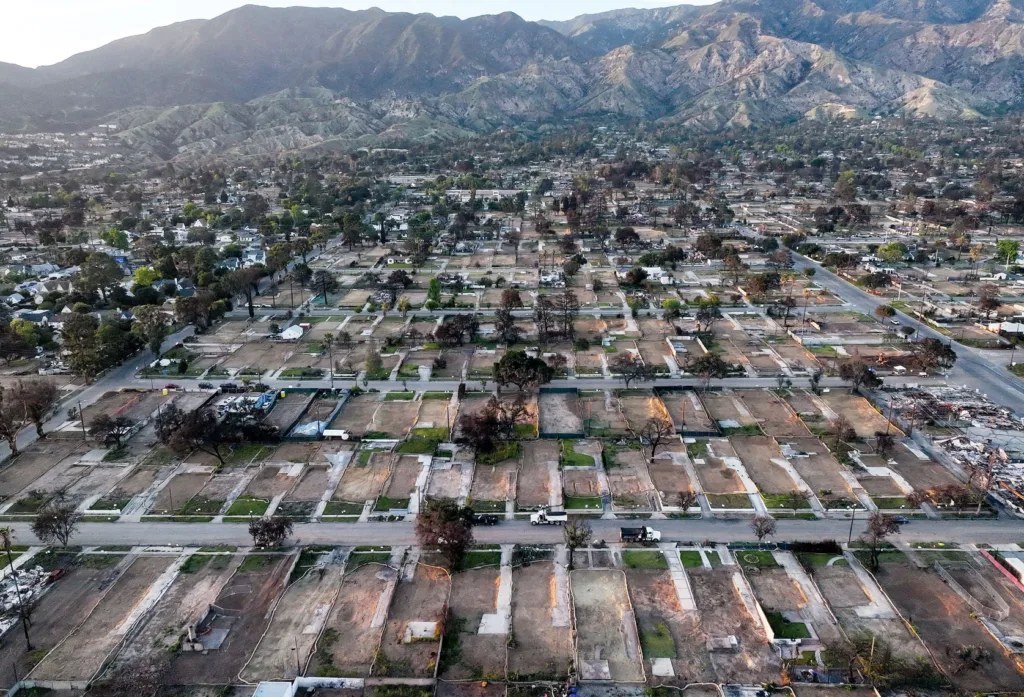 Aerial view of what remains of a neighborhood after a fire, leaving charred trees with a mountain in the background.
