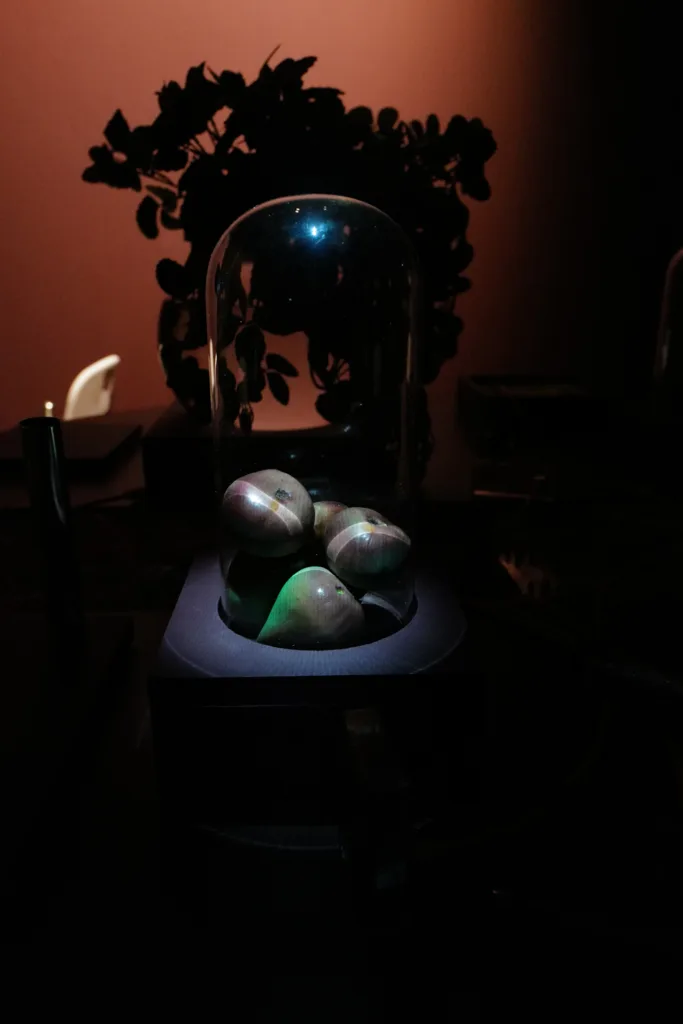 Fruit in a bowl in a dark room.
