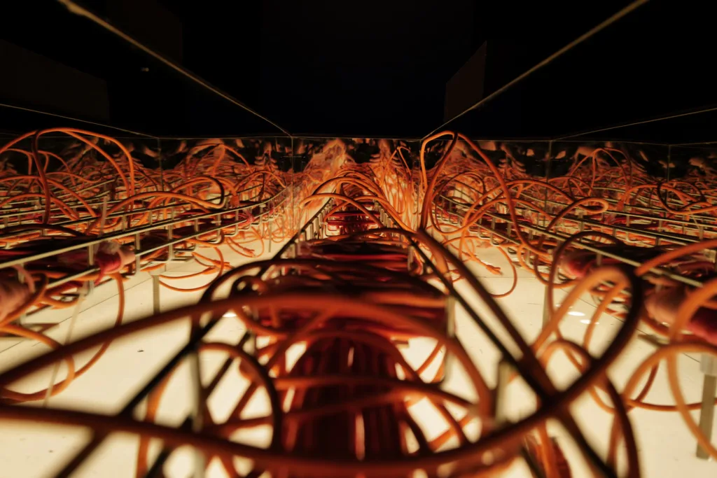 Orange cables above light source.