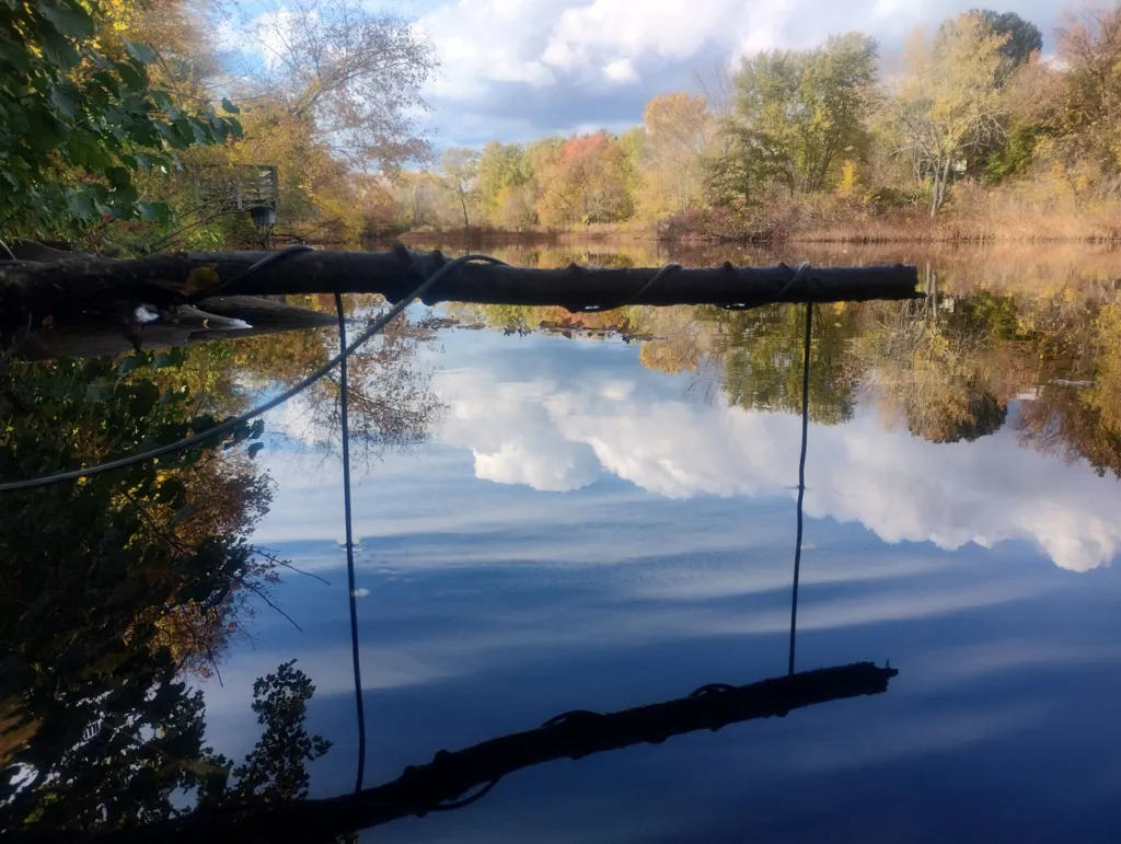 A hydrophone recording sound in the Charles River.