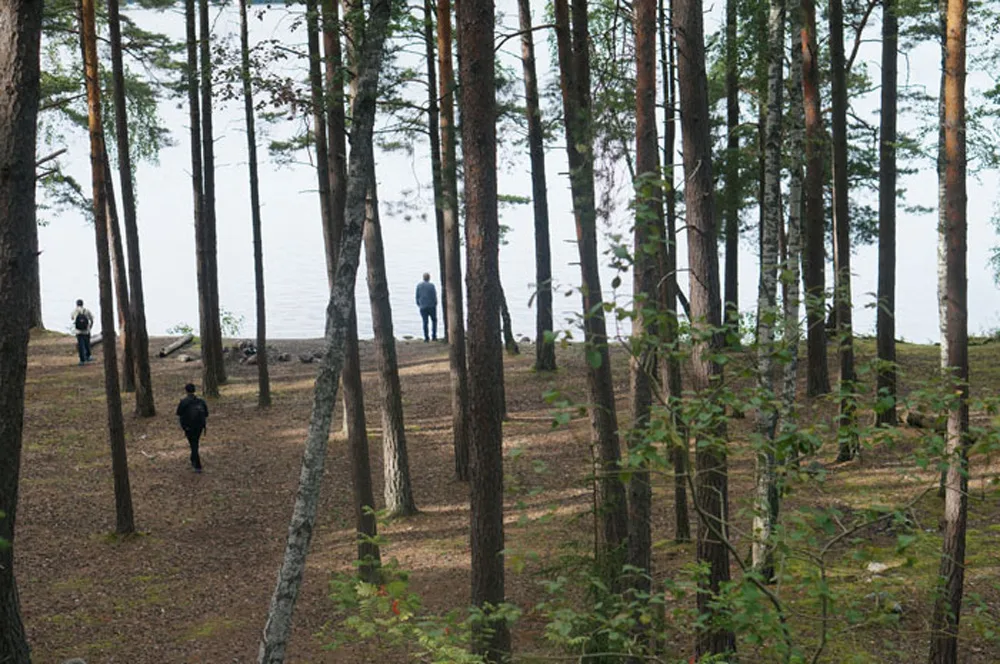Several figures in the woods during a sound walk. 
