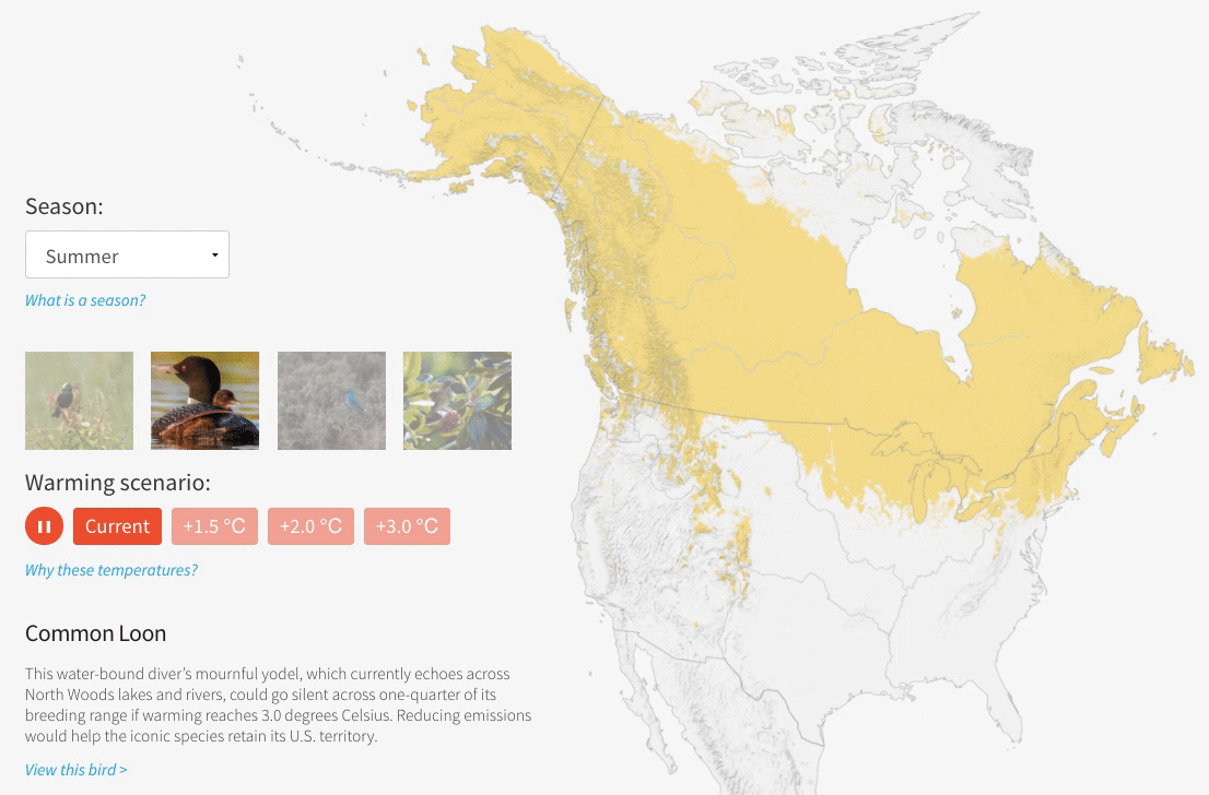 Color-coded map showing bird species and warming climate.