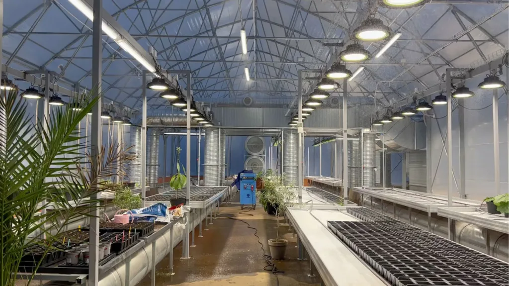 An interior view of a greenhouse.
